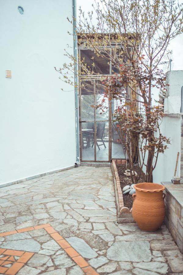Violetta'S House Παραδοσιακή Βίλα Στην Πορταριά Dış mekan fotoğraf