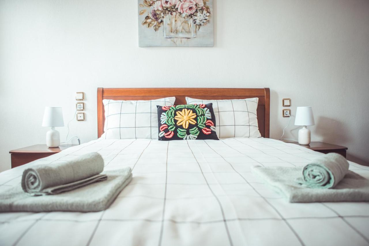 Violetta'S House Παραδοσιακή Βίλα Στην Πορταριά Dış mekan fotoğraf